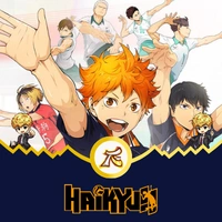 Haikyu Fly High